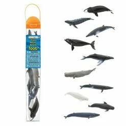Safari Ltd SAFARI - Whales TOOB Educational Resources