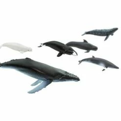 Safari Ltd SAFARI - Whales TOOB Educational Resources