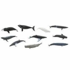 Safari Ltd SAFARI - Whales TOOB Educational Resources