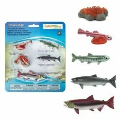 Safari Ltd SAFARI - Life Cycle Of Salmon Educational Resources
