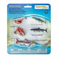 Safari Ltd SAFARI - Life Cycle Of Salmon Educational Resources