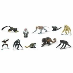 Safari Ltd SAFARI - Primates TOOB Educational Resources