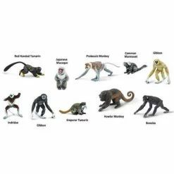 Safari Ltd SAFARI - Primates TOOB Educational Resources