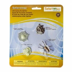 Safari Ltd SAFARI - Life Cycle Of A Spider Educational Resources