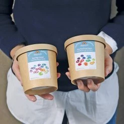 GRIMM'S - Building Rings Pastel