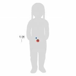 Small Foot - Animals Mini-Compass