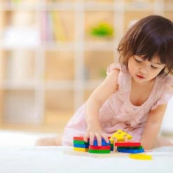 PlanToys - Geometric Sorting Board