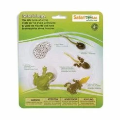 Safari Ltd SAFARI - Life Cycle Of A Frog Educational Resources