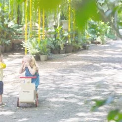 PlanToys - Delivery Bike