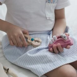 PlanToys - Dentist Set Educational Resources