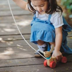 Toddler Toys PlanToys - Happy Puppy