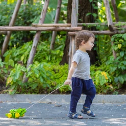 PlanToys - Dancing Alligator