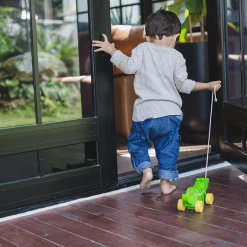 PlanToys - Dancing Alligator