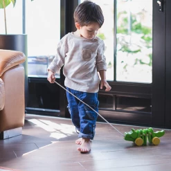 PlanToys - Dancing Alligator