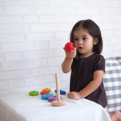 PlanToys - Stacking Ring Toddler Toys