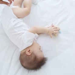 PlanToys - Peek-a-Boo Roller Baby Toys