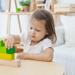 PlanToys - Ordering Blocks