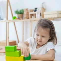 PlanToys - Ordering Blocks