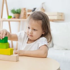 PlanToys - Ordering Blocks