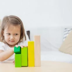 PlanToys - Ordering Blocks