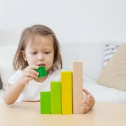 PlanToys - Ordering Blocks