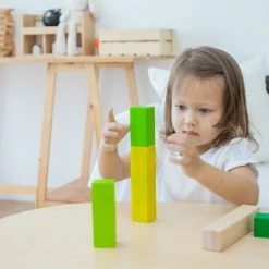 PlanToys - Ordering Blocks