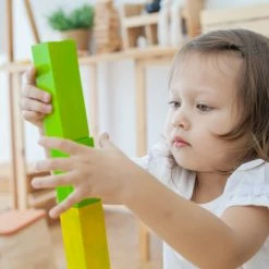 PlanToys - Ordering Blocks