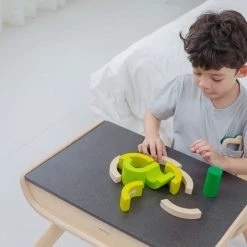 PlanToys - Curve Blocks Educational Resources