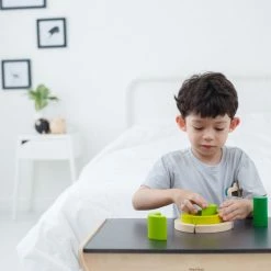 PlanToys - Curve Blocks Educational Resources