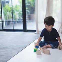 PlanToys - Geo Matching Boxes Toddler Toys