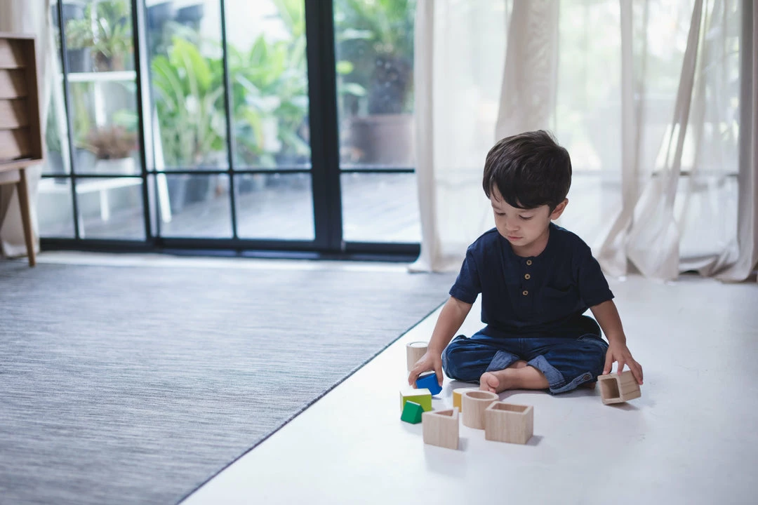 PlanToys - Geo Matching Boxes Toddler Toys