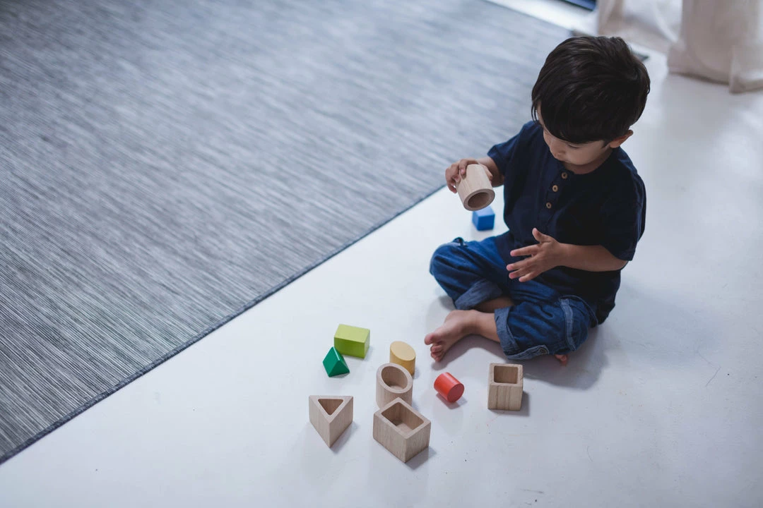 PlanToys - Geo Matching Boxes Toddler Toys