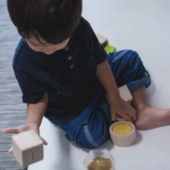 PlanToys - Geo Matching Boxes Toddler Toys