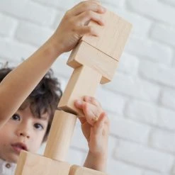 PlanToys - 50 Unit Blocks Educational Resources