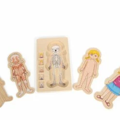 Small Foot - Layer Puzzle Anatomy Girl