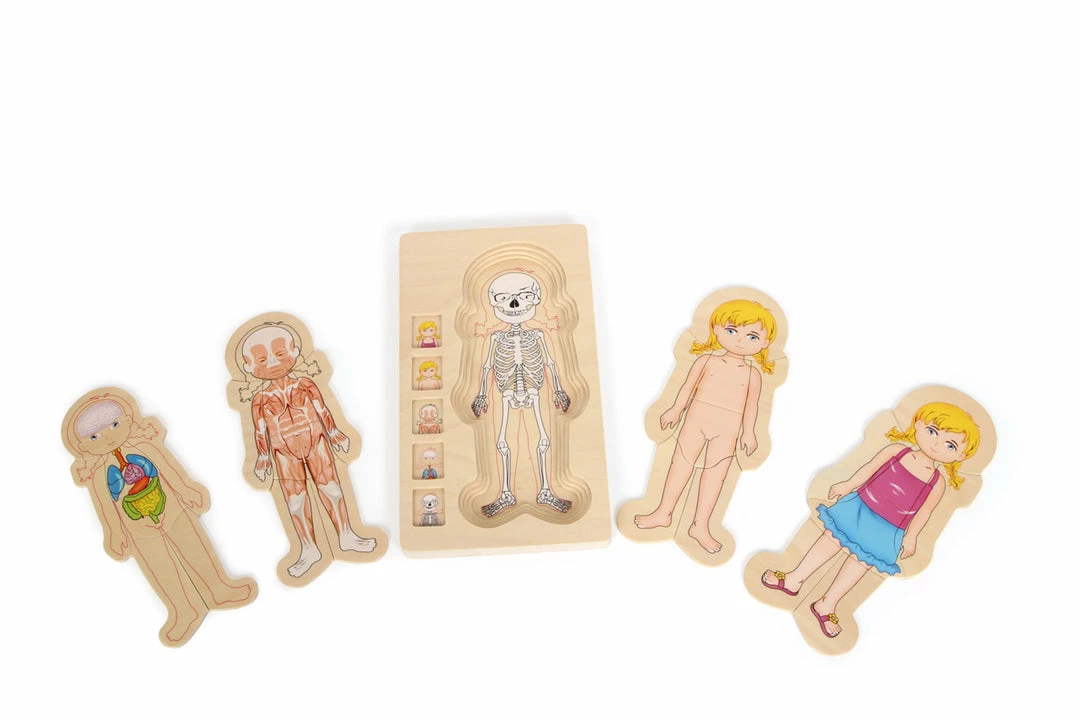 Small Foot - Layer Puzzle Anatomy Girl