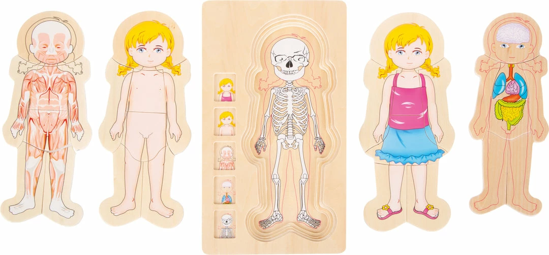 Small Foot - Layer Puzzle Anatomy Girl