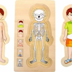 Games & Puzzles Small Foot - Layer Puzzle Anatomy Boy