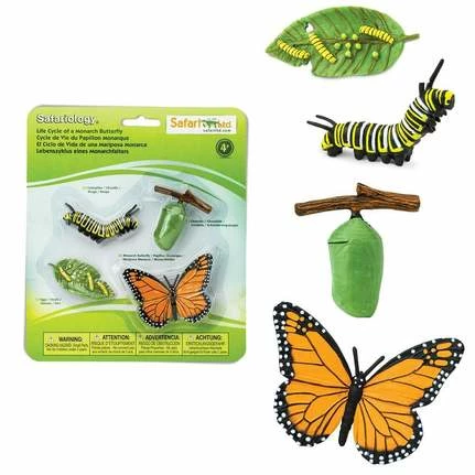Safari Ltd Educational Resources SAFARI - Life Cycle Of A Monarch Butterfly