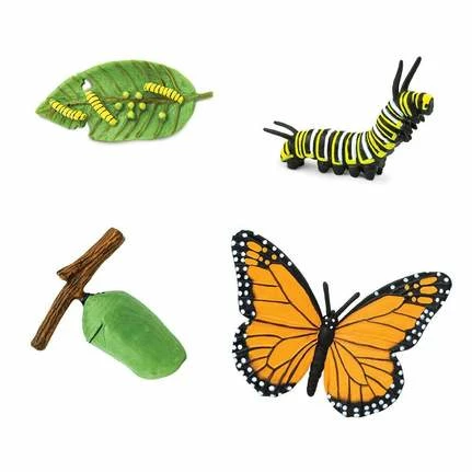 Safari Ltd Educational Resources SAFARI - Life Cycle Of A Monarch Butterfly