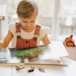 Safari Ltd Educational Resources SAFARI - Life Cycle Of A Monarch Butterfly
