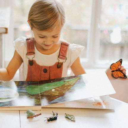 Safari Ltd Educational Resources SAFARI - Life Cycle Of A Monarch Butterfly