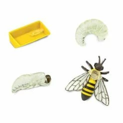 Safari Ltd SAFARI - Life Cycle Of A Honey Bee Educational Resources