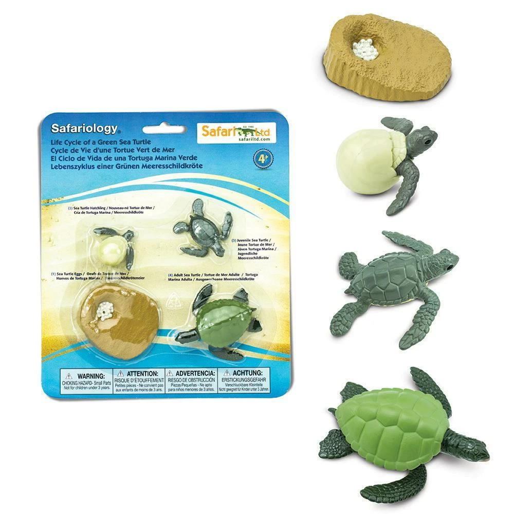 Safari Ltd SAFARI - Life Cycle Of A Green Sea Turtle Educational Resources