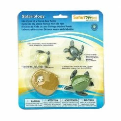 Safari Ltd SAFARI - Life Cycle Of A Green Sea Turtle Educational Resources