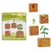 Safari Ltd SAFARI - Life Cycle Of A Green Bean Plant