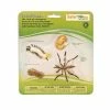 Safari Ltd Educational Resources SAFARI - Life Cycle Of A Mosquito