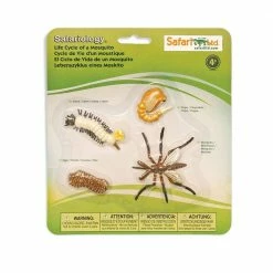 Safari Ltd Educational Resources SAFARI - Life Cycle Of A Mosquito
