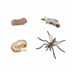 Safari Ltd Educational Resources SAFARI - Life Cycle Of A Mosquito