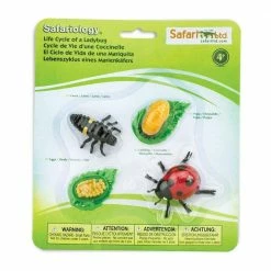 Safari Ltd SAFARI - Life Cycle Of A Ladybug